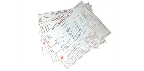 Registration papers