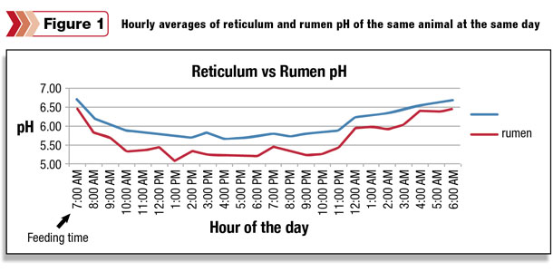 Reticulum vs Rumen pH