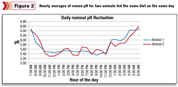 Daily ruminal pH fluctuation