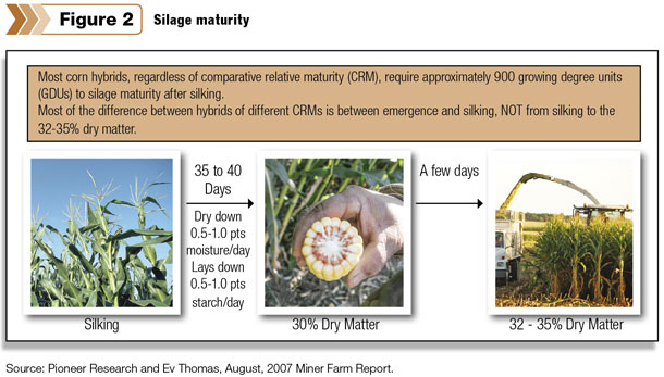 Silage maturity