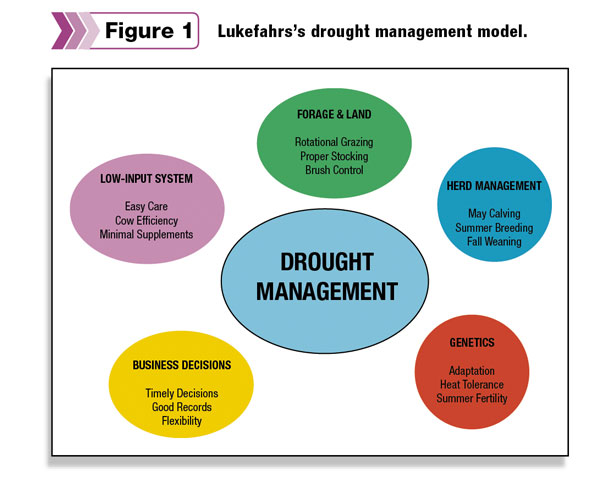 Lukefahrs’s drought management model.