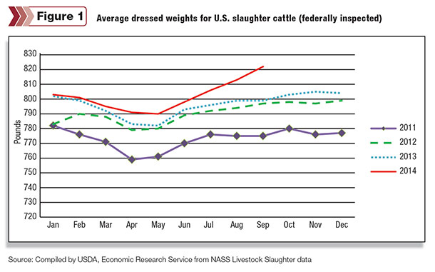 Average dressed weights for U.S. slaughter