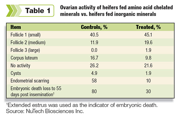 Ovarian activity of heifers