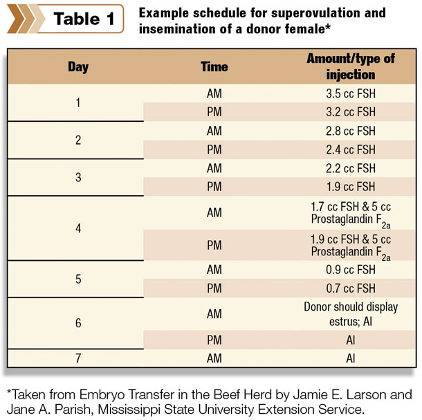 Example schedule for superovulation