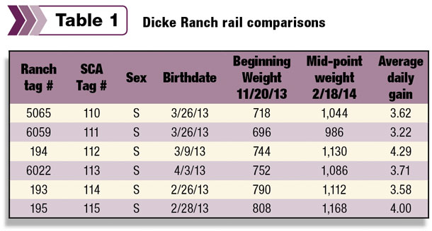 Dicke Ranch rail comparisons