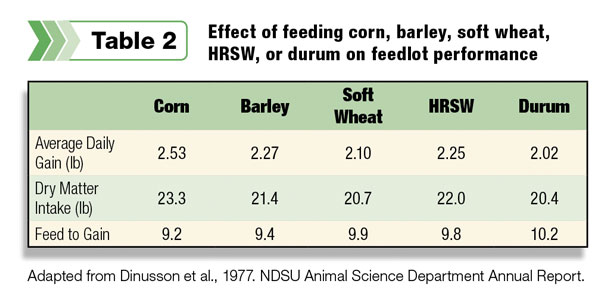 Effect of feeding corn, barley, soft wheat, HRSW, or durum on feedlot performance