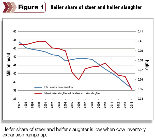 Heifer share of steer and heifer slaughter