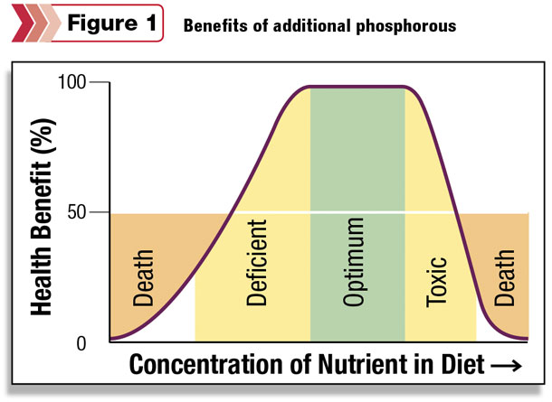 Benefits of additional phosphorous