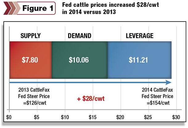 Beef Supply, Demand and Leverage