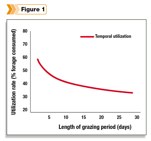 Length of grazing period