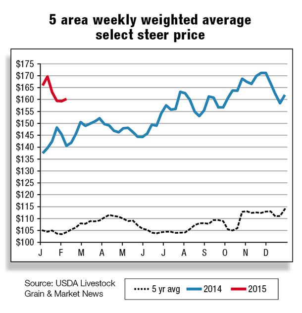 5 area weekly weifhted average select steer price