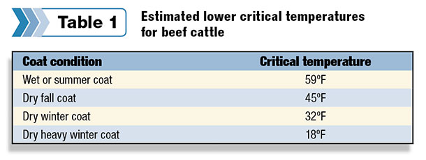 Estimated lower critical temp for beef cattle