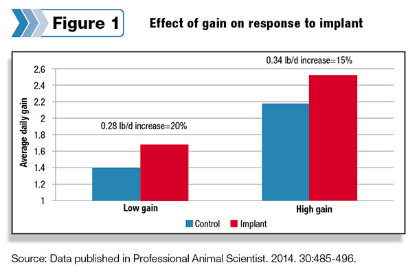 Effect of gain on response to implant