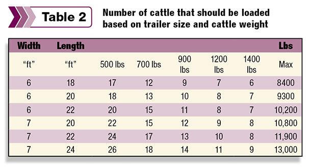 number of cattle that should be loaded based on trailer size