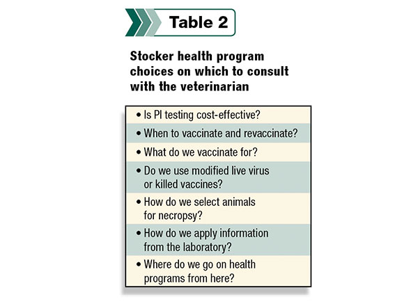 Stocker health program choices on which to consult with the vet