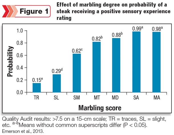 Effect of marbling degree on positive sensory rating