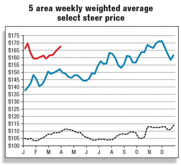 5 area weekly weighted average select steer prices
