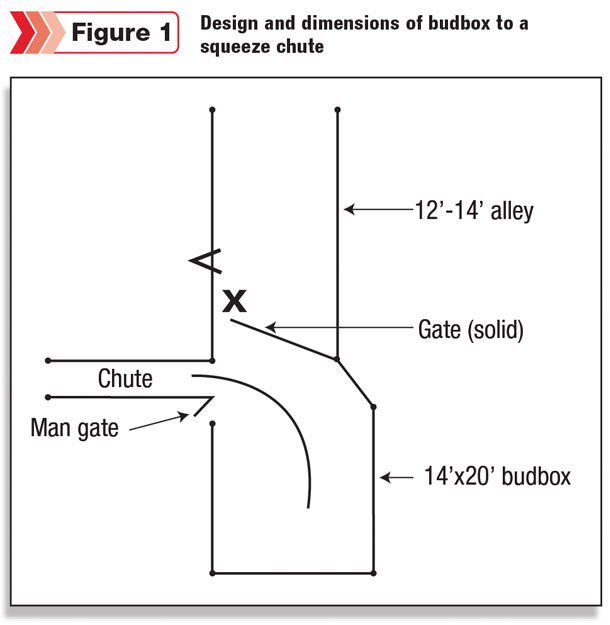 Design and dimensions of budbox to a squeeze chute