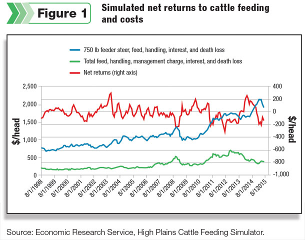 Simulated net returns to cattle feeding and costs