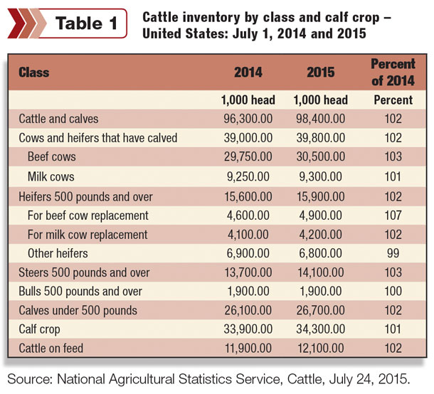 Cattle inventory by class and calf crop 