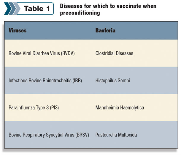 Diseases for which to vaccinate when preconditioning