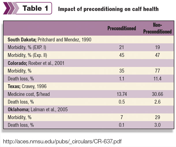 Impact of preconditioning on calf health