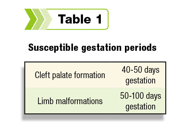 Susceptible gestation periods