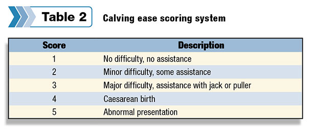 Calving ease scoring system
