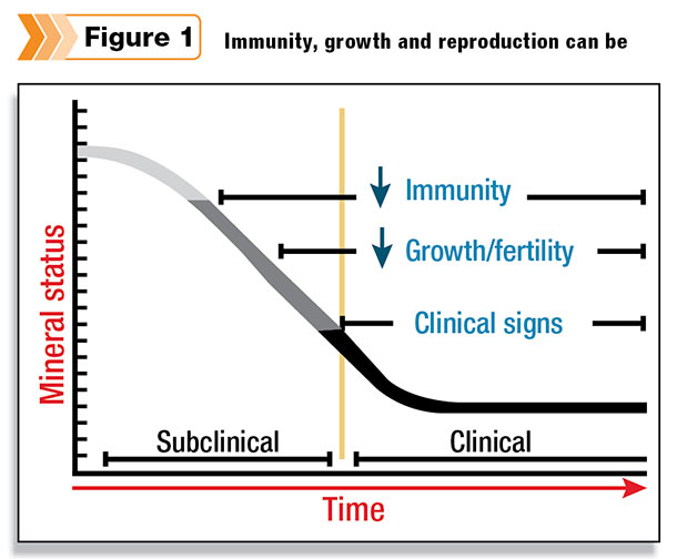 Immunity, growth and reproduction can be impaired before clinical symptoms appear