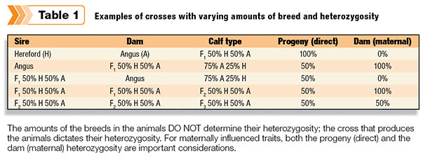 Examples of crosses with varying amounts of breed and heterozygosity