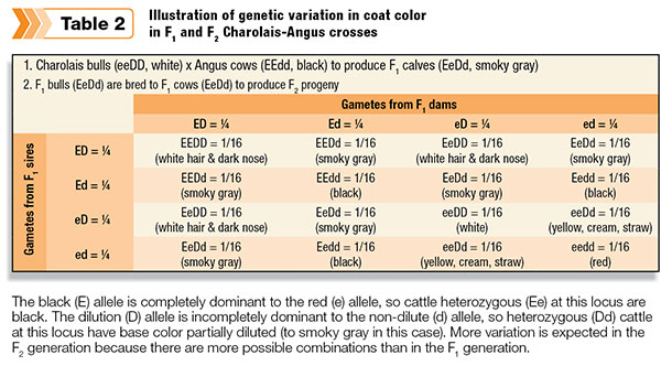 Illustration of genetic variation in cost color