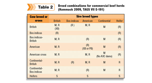 Breed combinations for commercial beef herds