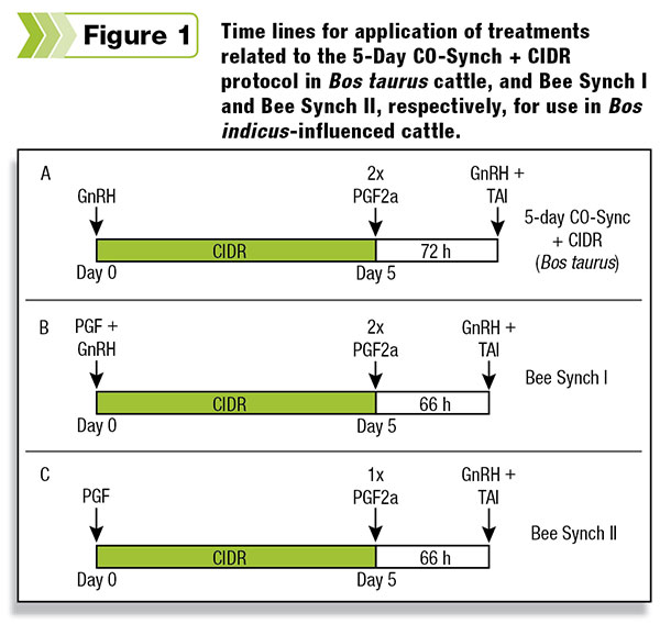 Time lines for application of treatments related to the 5-Day CO-Synch