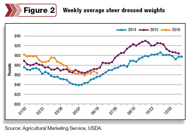 Weekly average steer dressed weights
