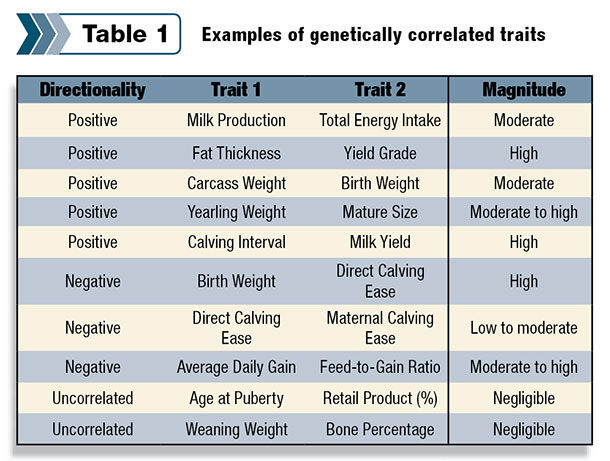 Examples of genetically correlated traits