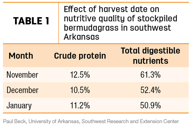 Effect of harvest date on nutritive quality of stockpiled bermudagrass