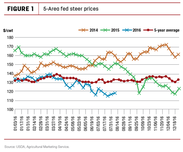 5-Area fed steer prices