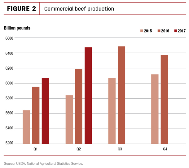 Commercial beef production