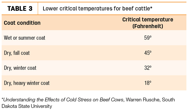 Lower critical temperatures for beef cattle