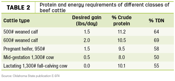 Protein and enerby requirements of different classes of beef cattle