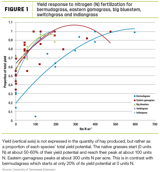 Yeild response to nitrogen fertilization for bermudagrass