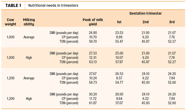 Nutritional needs in trimesters