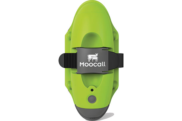 MooCall