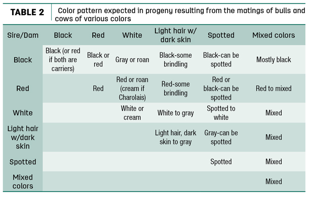 Color pattern expected in progeny resulting from the matings of bulls and cows of various colors