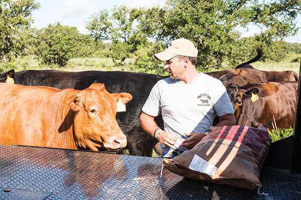 Josh Eilers feeds range cubes to cows 