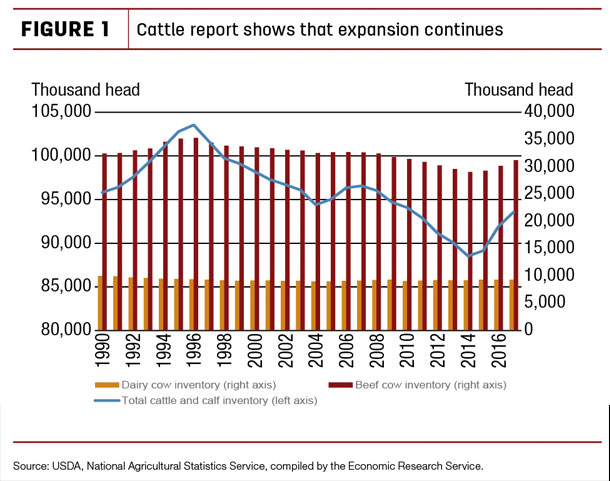 Cattle report shows that expansion continues