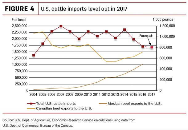 U.S. cattle imports level out in 2017