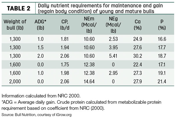 Dairy nutrient requirements for maintenance and gain 