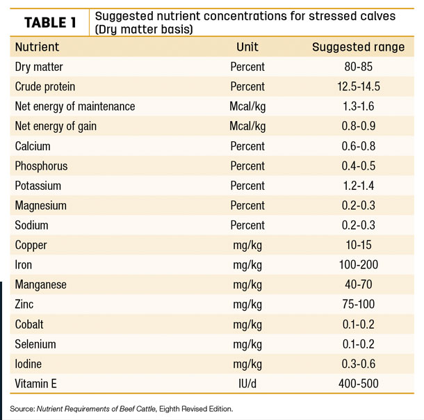 Suggested nutrient concentrations for stressed calves 
