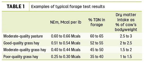 eamples of typical forage test results